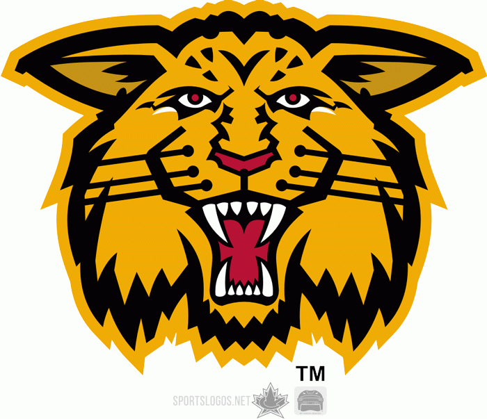 moncton wildcats 1998-2003 alternate logo iron on heat transfer